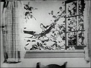 Tiny Tot - A Little Bird Told Me (1934)